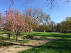 Aller au parc pour stimuler sa créativité